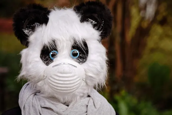 Unibet Casino Stuðningur